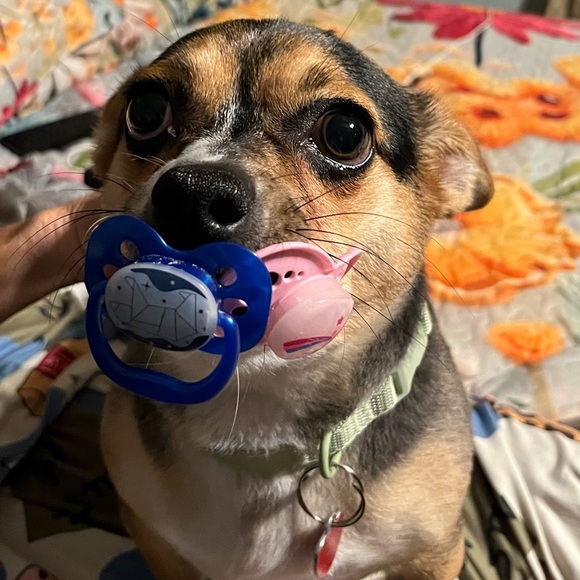 Thank you ❤️ - Picture 7 of 12